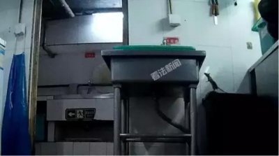 ​太恶心！一只老鼠能让海底捞的巨轮沉没吗？