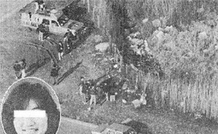 日本高中校园暴力事件,连环少女被害惨案