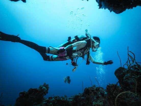 功夫女星母其弥雅化身美人鱼深海极限 与鲸鲨零距离共游