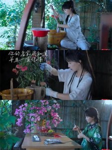 ​李子柒的田园梦：从乡村女孩到全球网红