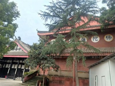 ​成都龙潭寺的历史和神秘传说