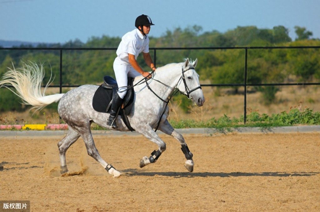 「历史图片」图说马镫,小物件成就古代骑兵作战的革命性转折