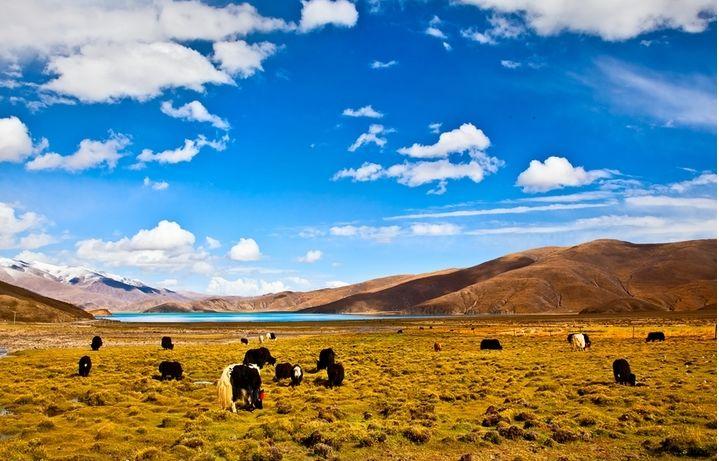 昂仁县属于哪个市(昂仁县地名来历)