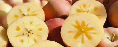 ​苹果糖心是如何形成的