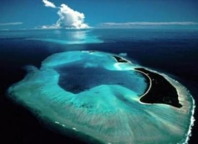 ​地球上最高的树156米是真是假？