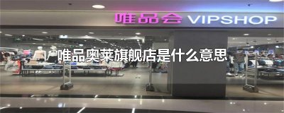 ​唯品奥莱旗舰店是什么意思