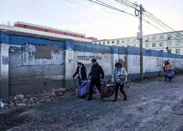 磨刀客:燕子衔泥筑巢苦,却难安居常漂泊