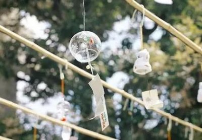 ​乌龟性别为什么和孵化温度有关乌龟温度决定公母