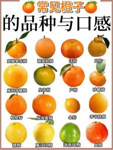 ​常见橘子口感与区别