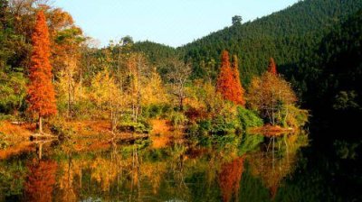 ​从广州出发自驾游去哪里好玩