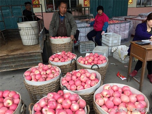 咬一口嘎嘣脆苹果仅售1.5元 商贩通过一个办法可使其价格翻好几倍