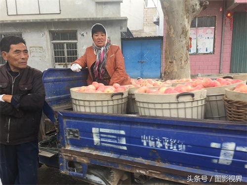 咬一口嘎嘣脆苹果仅售1.5元 商贩通过一个办法可使其价格翻好几倍