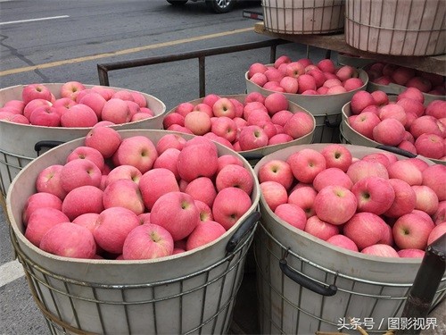 咬一口嘎嘣脆苹果仅售1.5元 商贩通过一个办法可使其价格翻好几倍