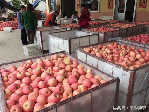 咬一口嘎嘣脆苹果仅售1.5元 商贩通过一个办法可使其价格翻好几倍