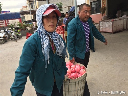 咬一口嘎嘣脆苹果仅售1.5元 商贩通过一个办法可使其价格翻好几倍