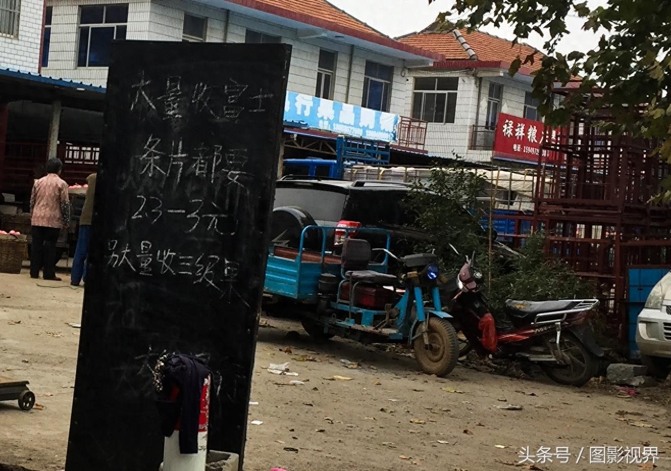 咬一口嘎嘣脆苹果仅售1.5元 商贩通过一个办法可使其价格翻好几倍