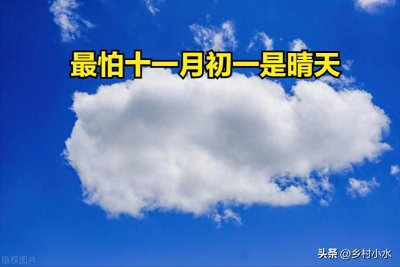 ​“最怕十一月初一是晴天”，明日十一月初一，天晴有啥预兆？