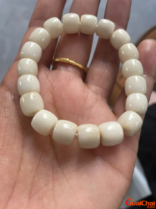 ​象牙果的功效与作用 象牙果怕水吗