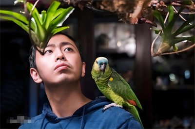 ​deepseek锐评最强大脑王昱珩