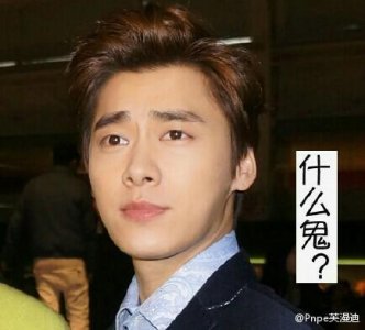 ​161116 萌萌哒的李易峰表情包一组
