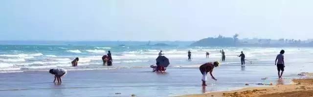 海南文昌旅游景点大全排名（海南文昌最美景点）(7)