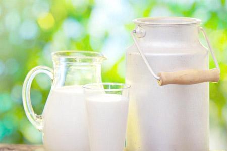 配方奶粉好还是纯牛奶好