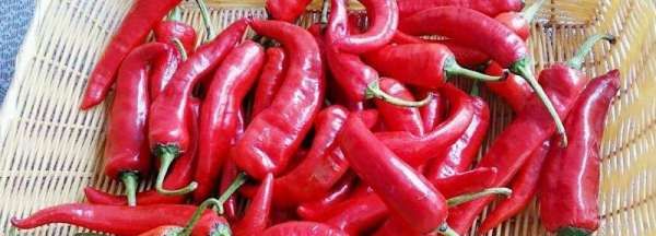 新鲜大红椒怎么腌好吃,新鲜红辣椒怎么腌制好吃图2