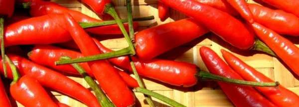新鲜大红椒怎么腌好吃,新鲜红辣椒怎么腌制好吃图1