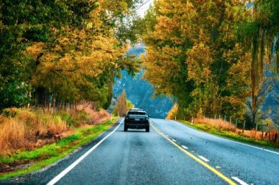 ​贫居依谷口下一句（贫居闹市无人问）