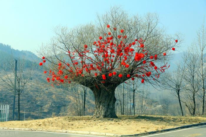 贫居依谷口下一句（贫居闹市无人问）