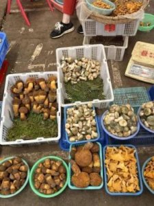 ​600千克等于多少吨(60000千克等于多少吨)