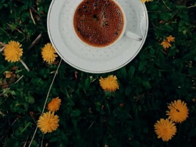 ​川普：发抖吧，俄哥