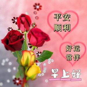 ​11月20日最新早上好幽默问候精选，适合清晨发的早上好金句