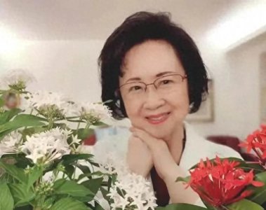 ​《梅花英雄梦》—琼瑶的封笔之作，2024年7月在中国大陆首次出版