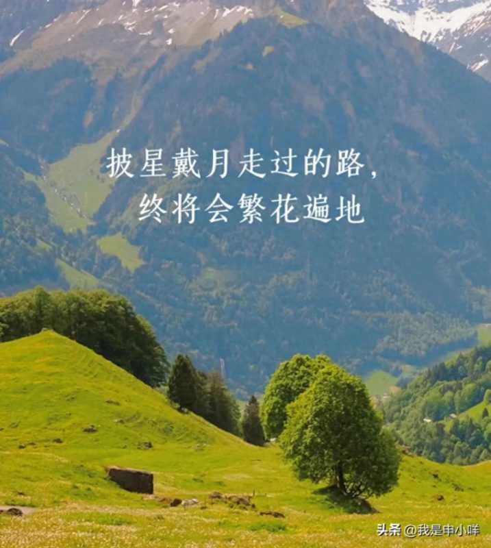 定向师范生报考需要满足什么条件