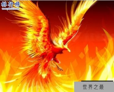 ​世界上最后一只凤凰：被守护着的人可以长生不老