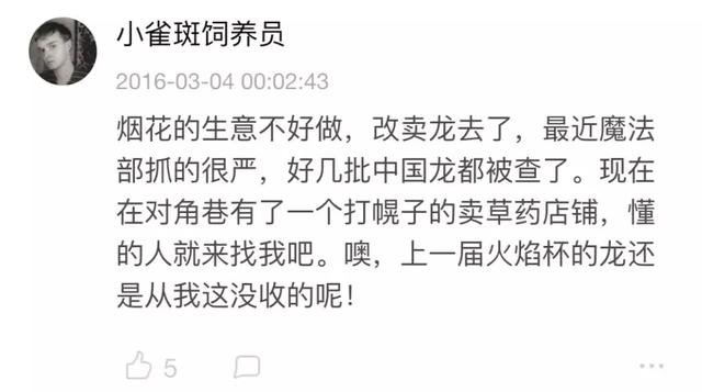 霍格沃茨是什么时候开学（霍格沃茨开学了）(51)