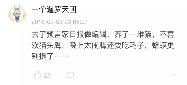 霍格沃茨是什么时候开学（霍格沃茨开学了）(29)