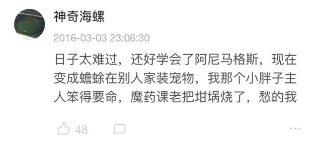 霍格沃茨是什么时候开学（霍格沃茨开学了）(33)