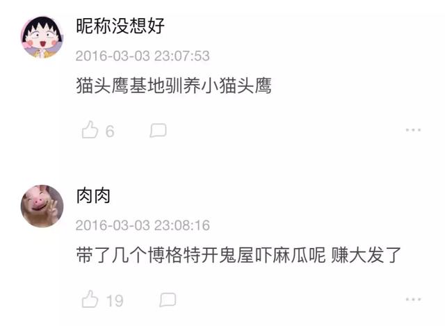 霍格沃茨是什么时候开学（霍格沃茨开学了）(35)