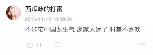 霍格沃茨是什么时候开学（霍格沃茨开学了）(4)