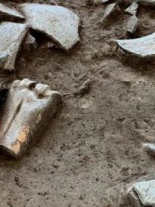 ​中国最早的朝代(中国最早的朝代距今多少年)