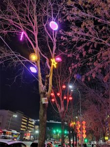 ​生活要折腾自己，幸福需要自己折腾