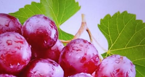 秋天有什么水果,秋天有什么水果图片图11