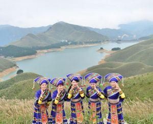 关于壮族的资料介绍