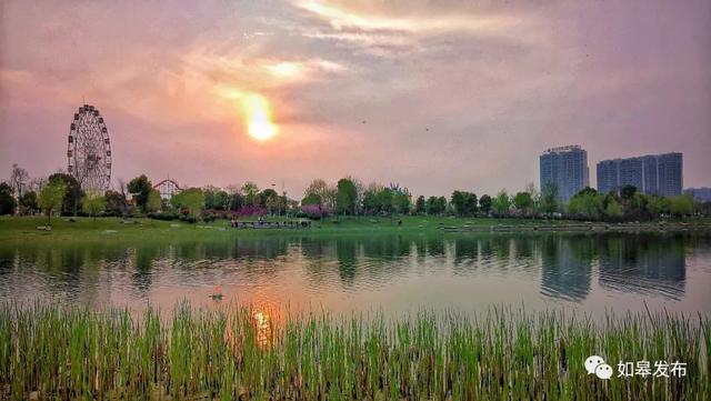 江苏如皋旅游景点大全（十里桃林千亩湖光）(29)