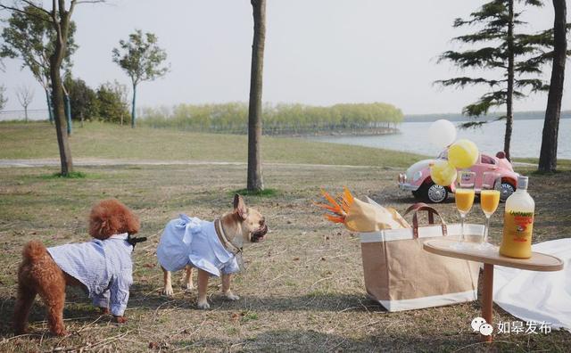 江苏如皋旅游景点大全（十里桃林千亩湖光）(18)