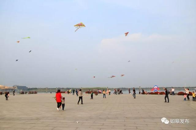 江苏如皋旅游景点大全（十里桃林千亩湖光）(25)