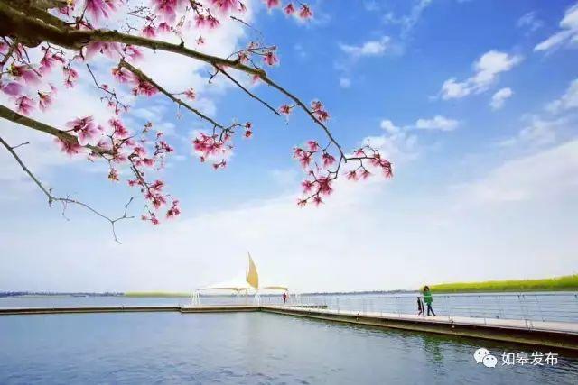 江苏如皋旅游景点大全（十里桃林千亩湖光）(13)