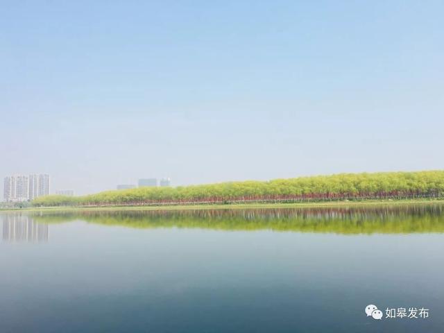 江苏如皋旅游景点大全（十里桃林千亩湖光）(19)